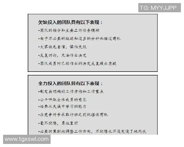 竞技精神与团队协作的融合探索：推动体育发展与社会责任的双向进步