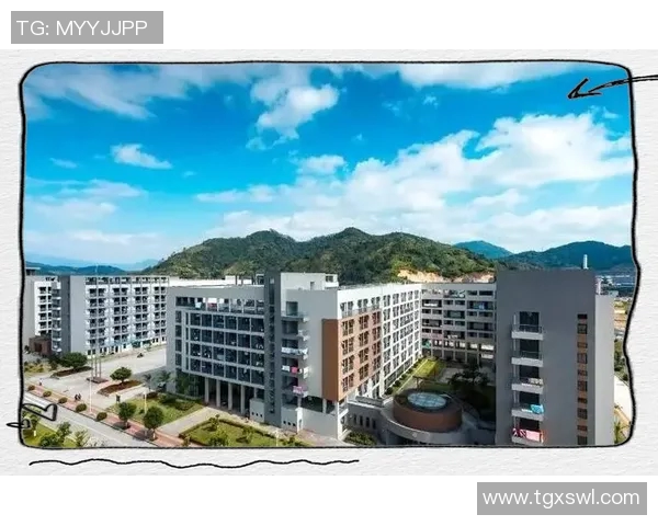 初学者蛙泳技巧全面指南从入门到精通的关键要点解析